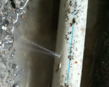 仁怀卫生间测漏水多少钱