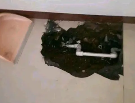 仁怀卫生间测漏水多少钱